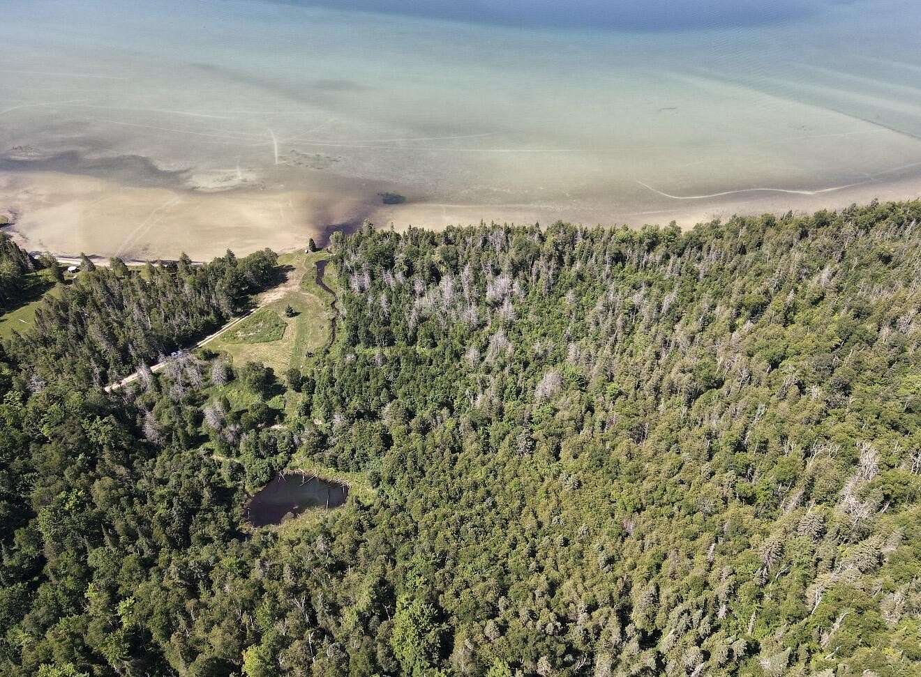7 Acres of Land for Sale in McMillan, Michigan