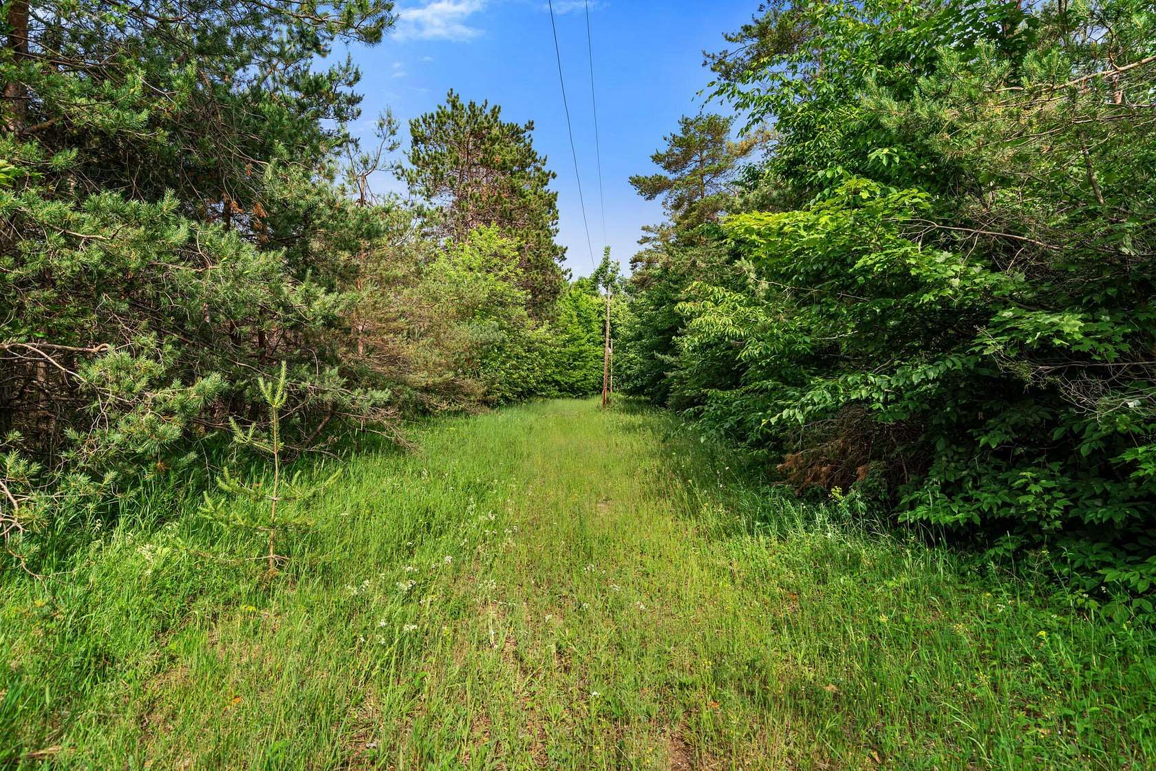 10 Acres of Recreational & Residential Land for Sale in Gaylord, Michigan