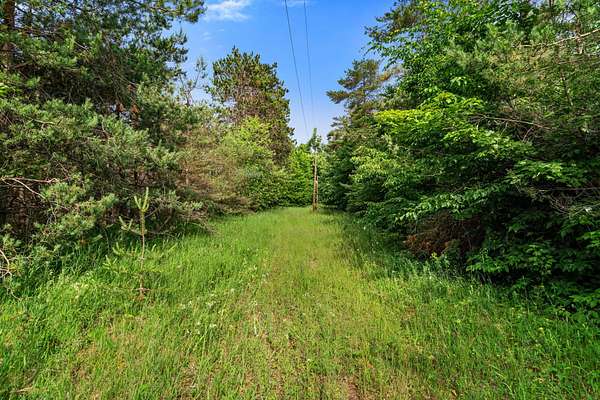10 Acres of Recreational & Residential Land for Sale in Gaylord, Michigan