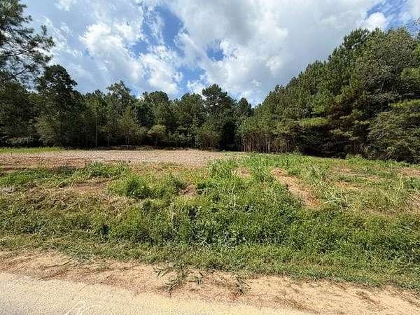 19.2 Acres of Land for Sale in Taylorsville, Georgia