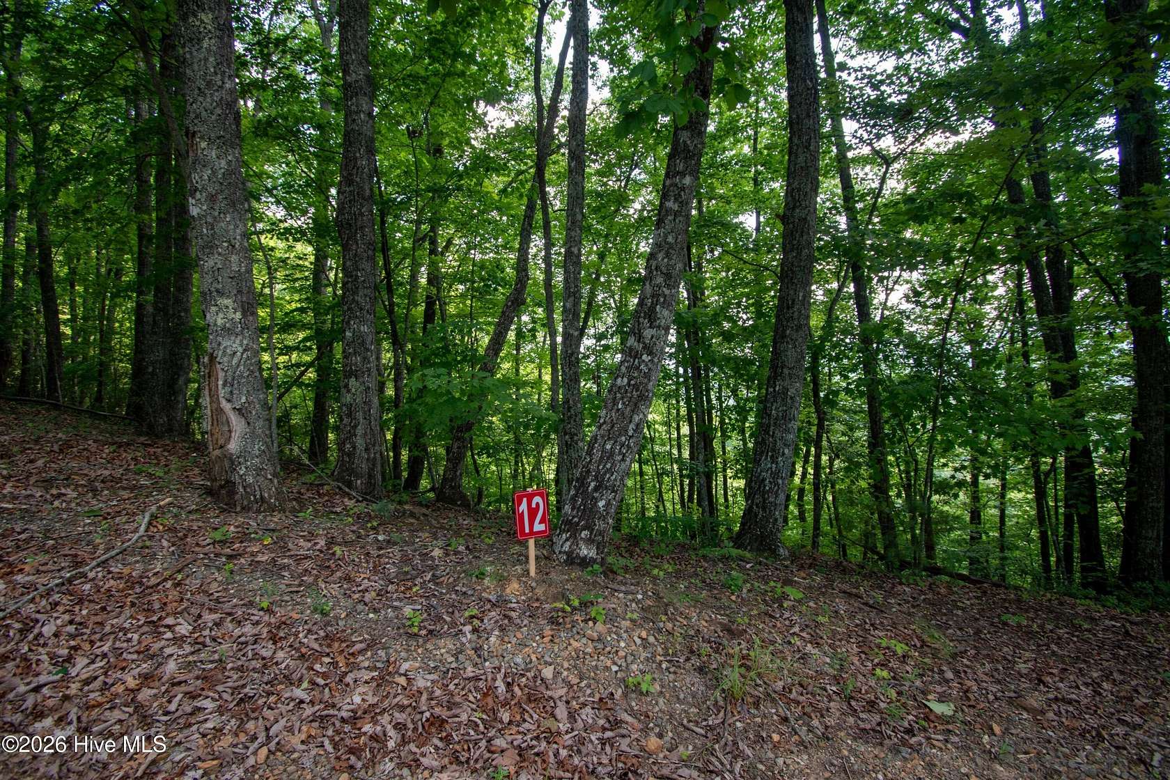1.7 Acres of Land for Sale in Marble, North Carolina