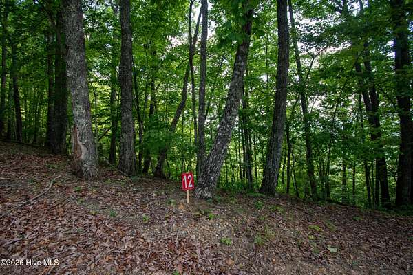 1.7 Acres of Land for Sale in Marble, North Carolina