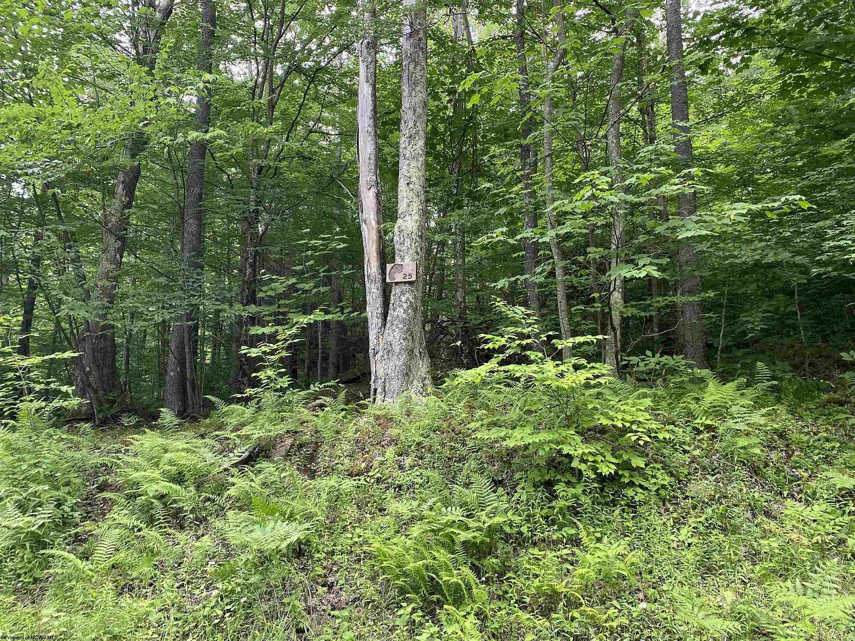 1 Acre of Residential Land for Sale in Davis, West Virginia