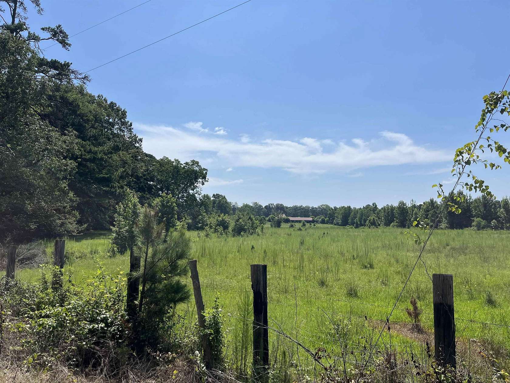 38.7 Acres of Agricultural Land for Sale in Fordyce, Arkansas
