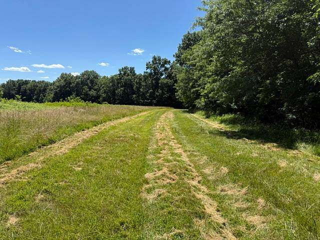 41.2 Acres of Recreational Land for Sale in Laddonia, Missouri