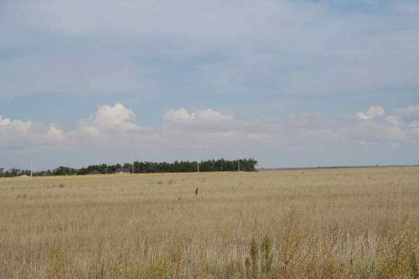 190 Acres of Land for Sale in Atwood, Kansas