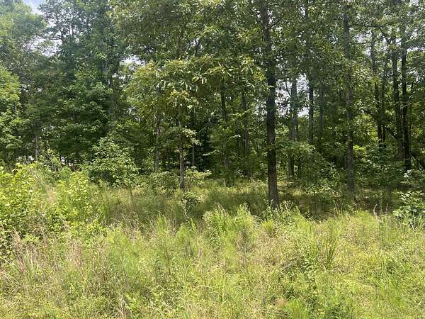 1.9 Acres of Residential Land for Sale in Linden, Tennessee
