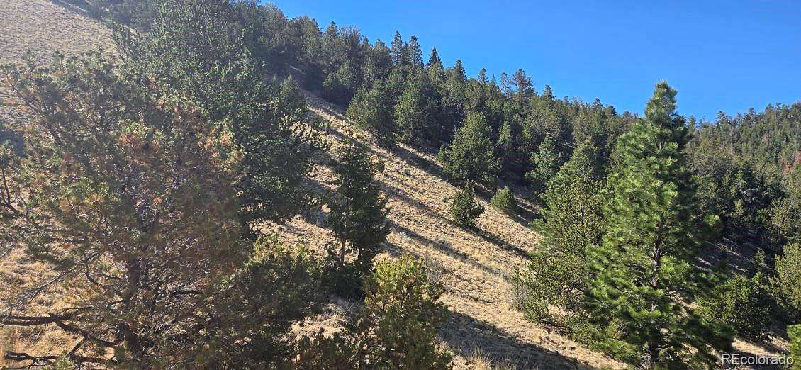 80 Acres of Recreational Land for Sale in Center, Colorado