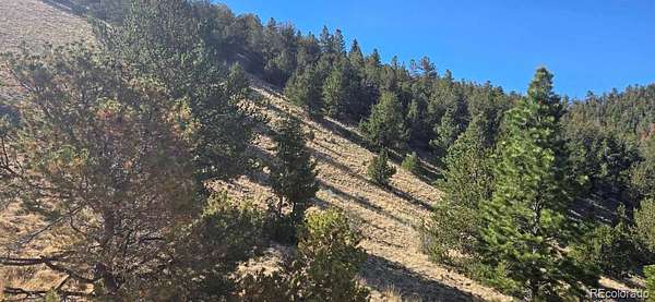 80 Acres of Recreational Land for Sale in Center, Colorado