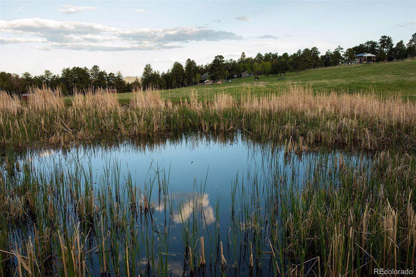 7 Acres of Residential Land for Sale in Evergreen, Colorado