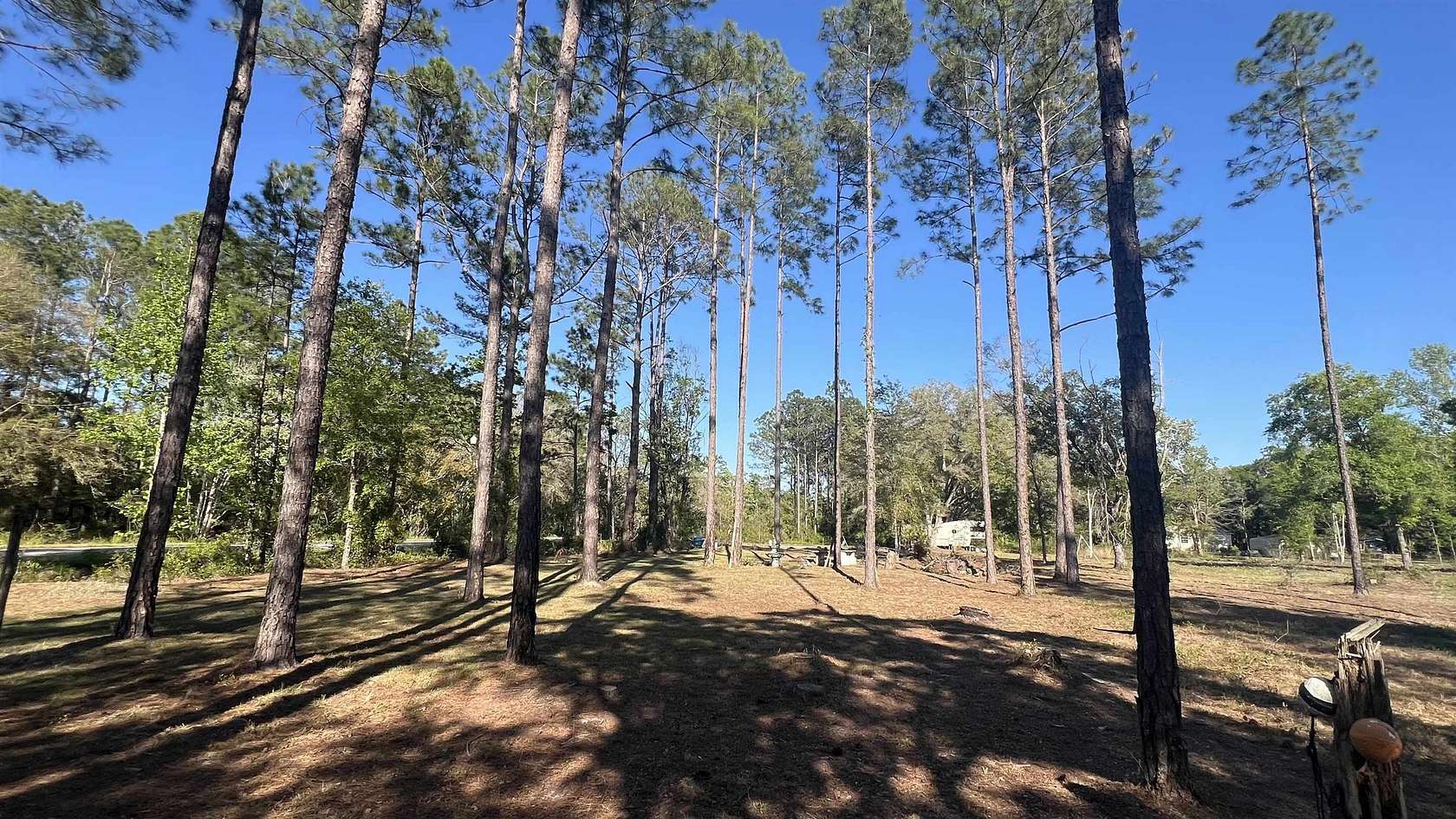 0.86 Acres of Land for Sale in Hastings, Florida