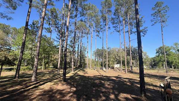 0.86 Acres of Land for Sale in Hastings, Florida