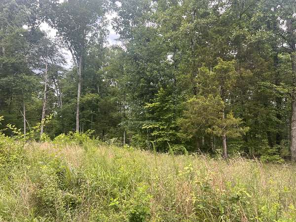 0.59 Acres of Residential Land for Sale in Linden, Tennessee