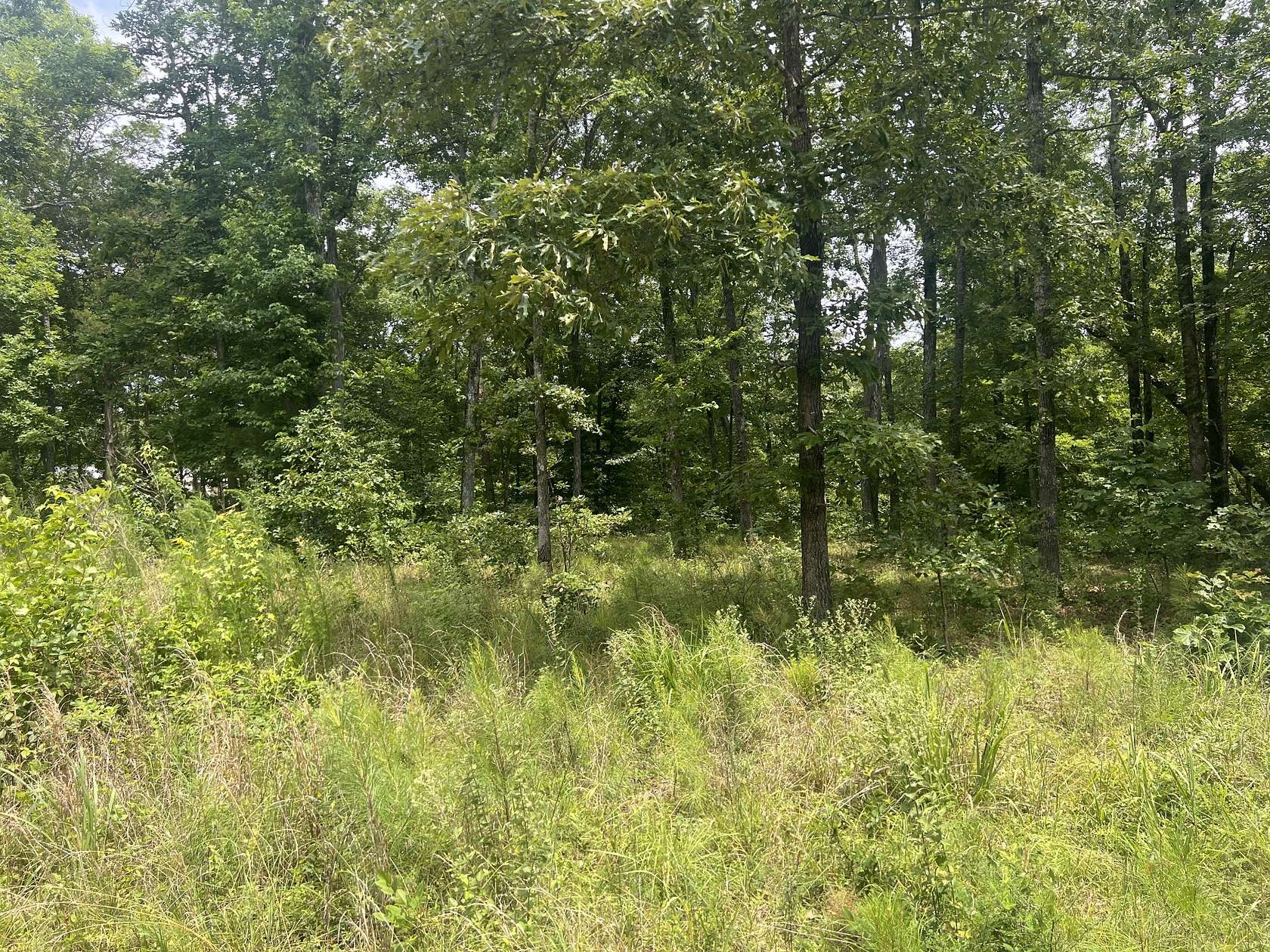 0.55 Acres of Residential Land for Sale in Linden, Tennessee