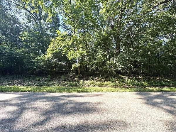 0.3 Acres of Land for Sale in Tiskilwa, Illinois