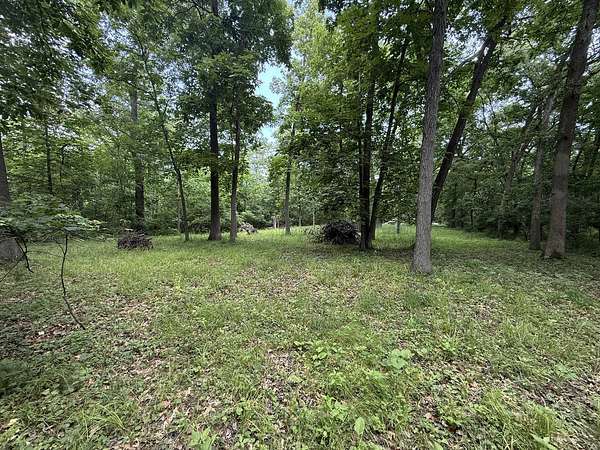 0.28 Acres of Land for Sale in Tiskilwa, Illinois