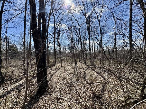 0.8 Acres of Land for Sale in Tiskilwa, Illinois