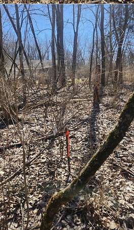 Land for Sale in Putnam, Illinois