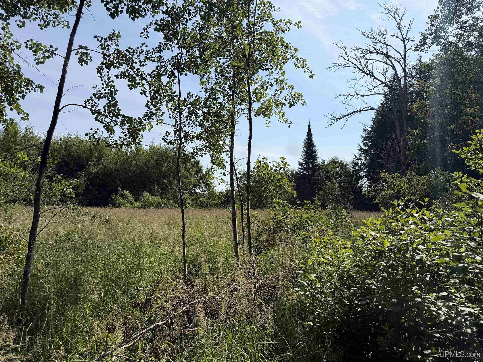 55.1 Acres of Land for Sale in Baraga, Michigan