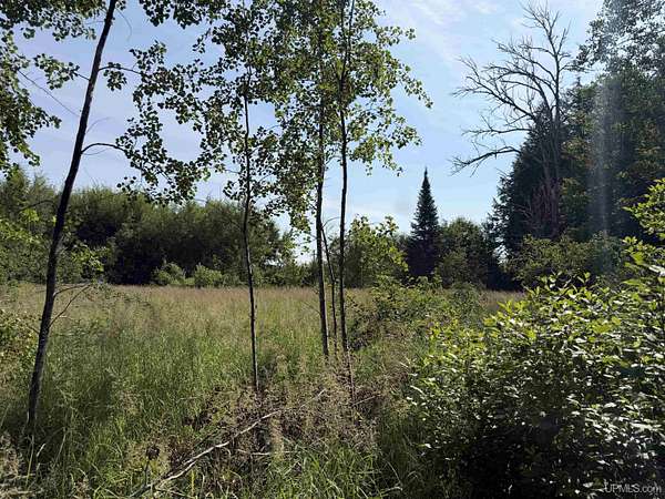 55.1 Acres of Land for Sale in Baraga, Michigan