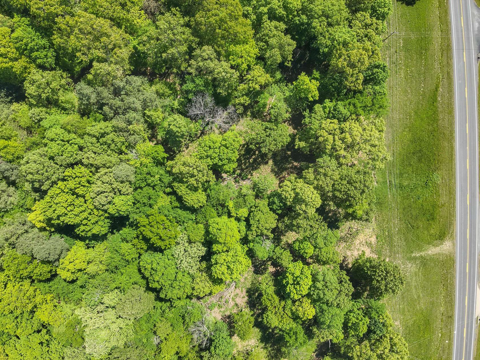 26 Acres of Recreational Land for Sale in Calvert City, Kentucky