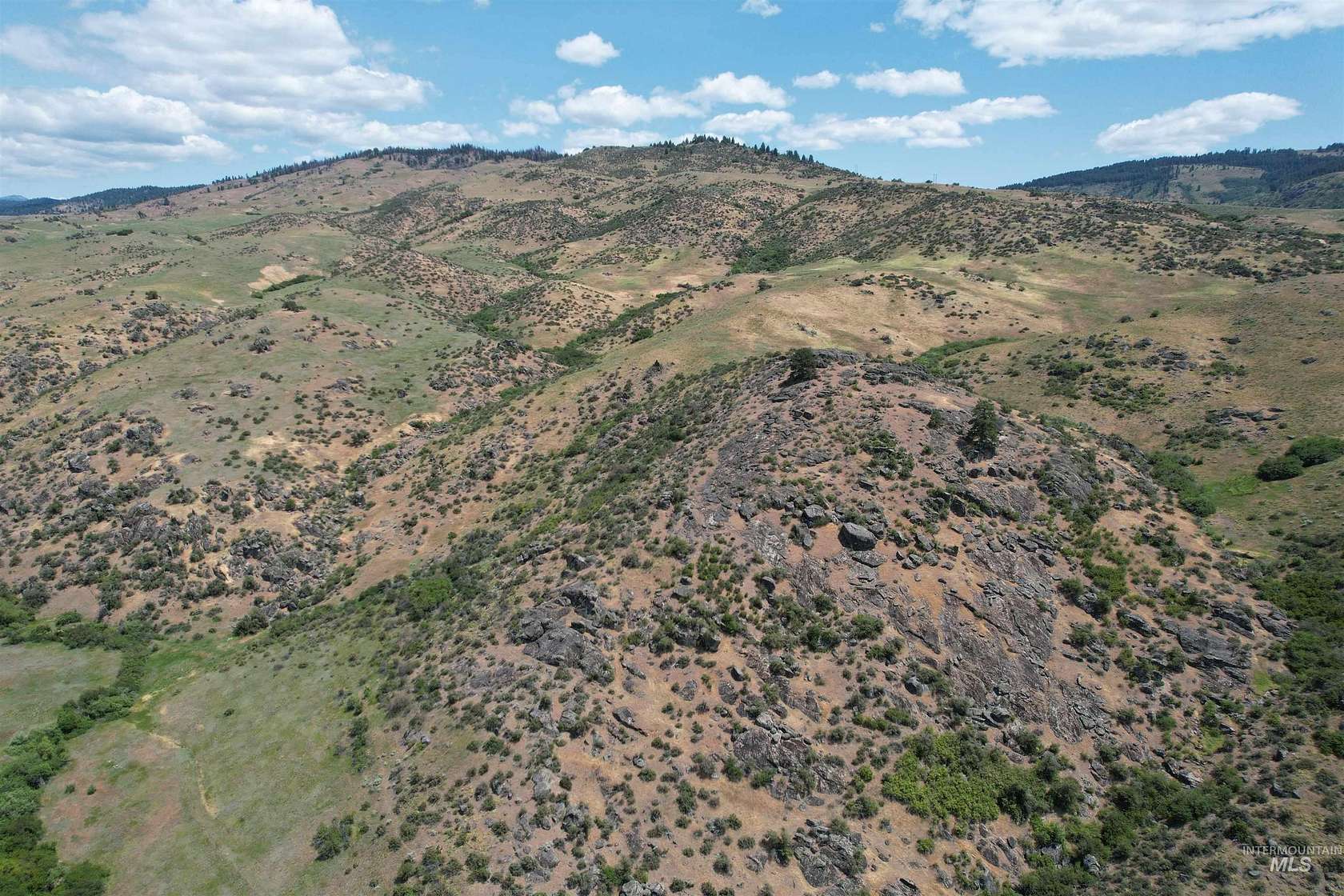 63.2 Acres of Land for Sale in Ola, Idaho