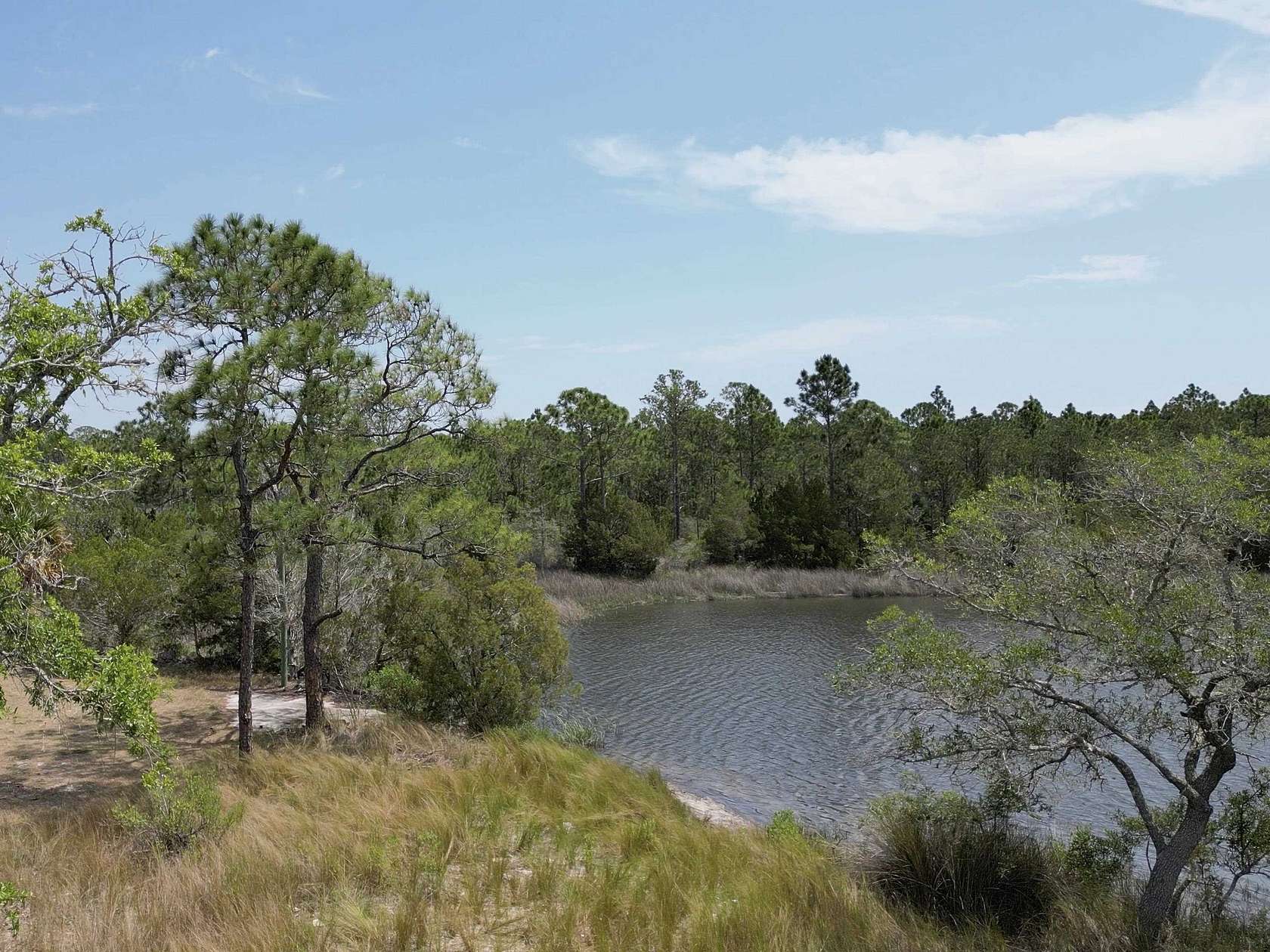 11 Acres of Land for Sale in Panacea, Florida