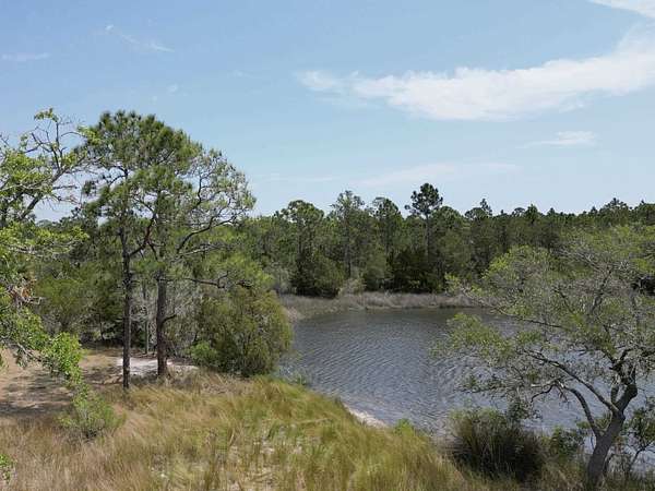 11 Acres of Land for Sale in Panacea, Florida