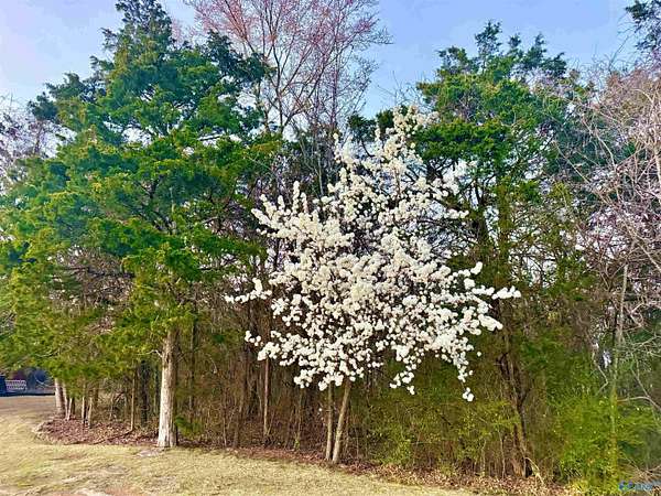 0.65 Acres of Residential Land for Sale in Decatur, Alabama