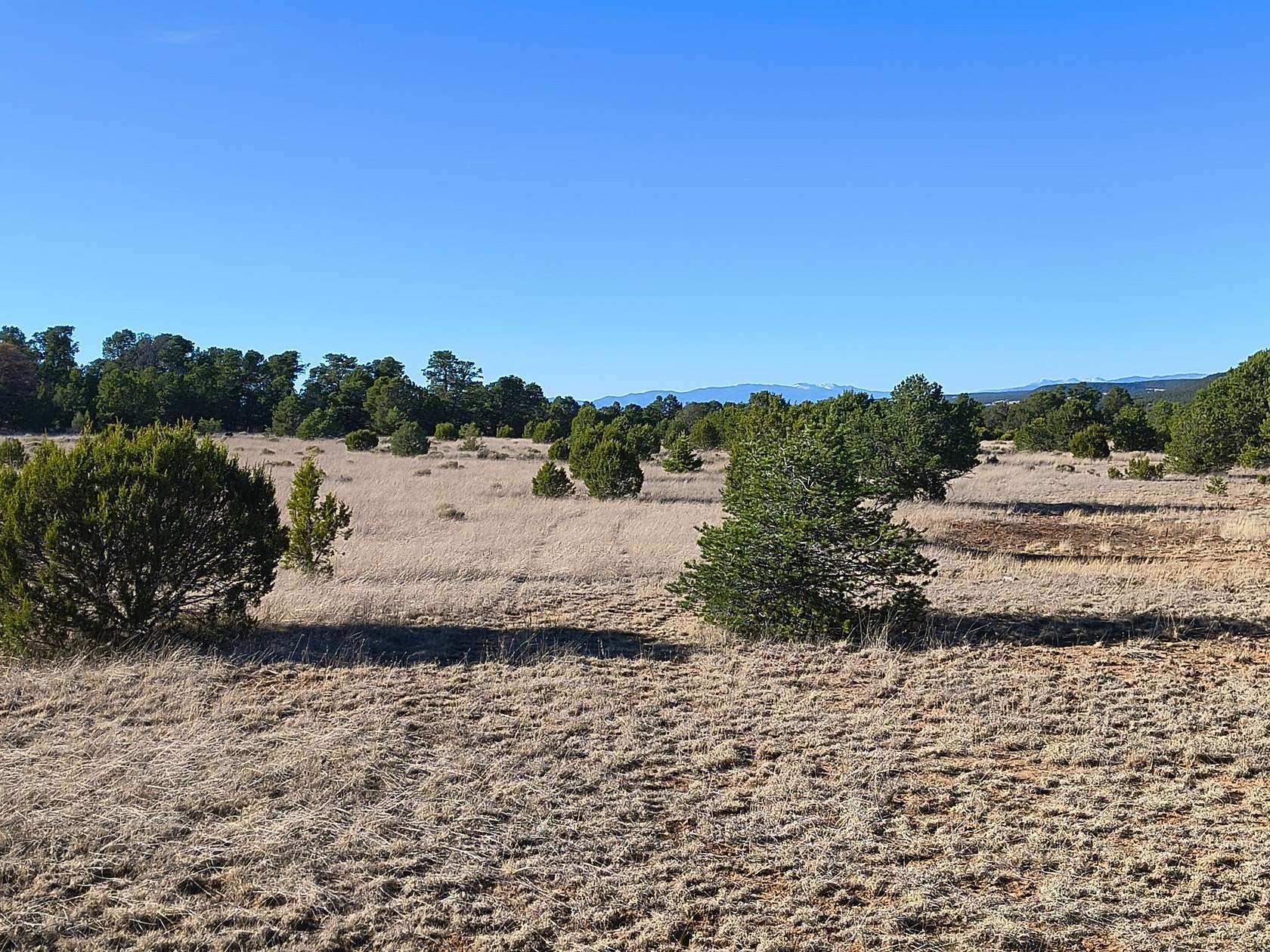 20 Acres of Recreational & Residential Land for Sale in Rowe, New Mexico