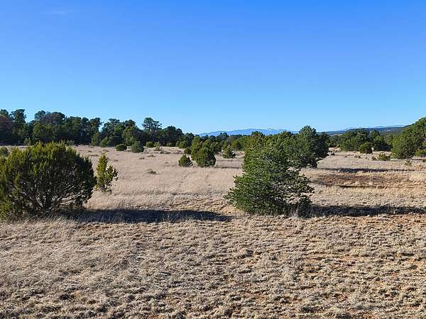 20 Acres of Recreational & Residential Land for Sale in Rowe, New Mexico