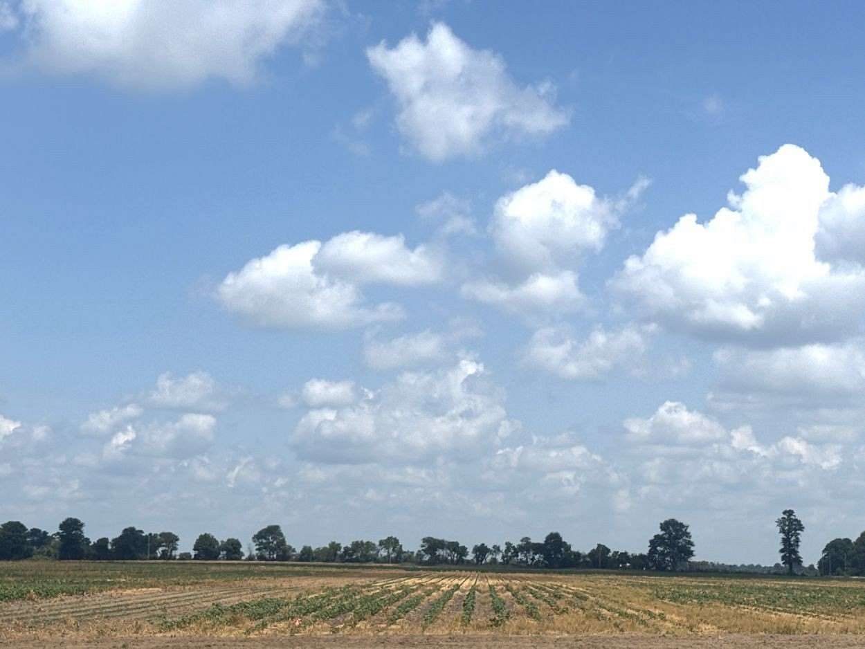 Land for Sale in Kennett, Missouri