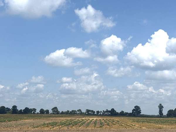Land for Sale in Kennett, Missouri