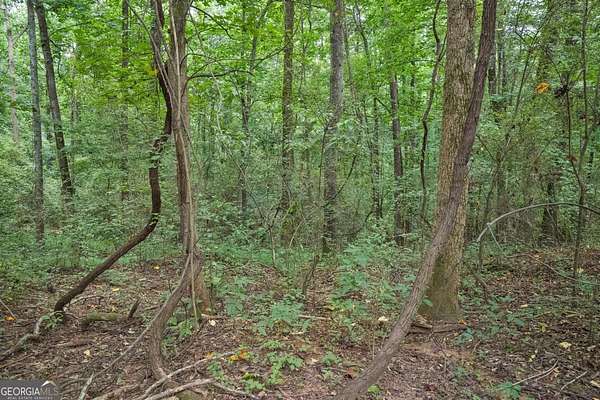 5 Acres of Residential Land for Sale in Culloden, Georgia