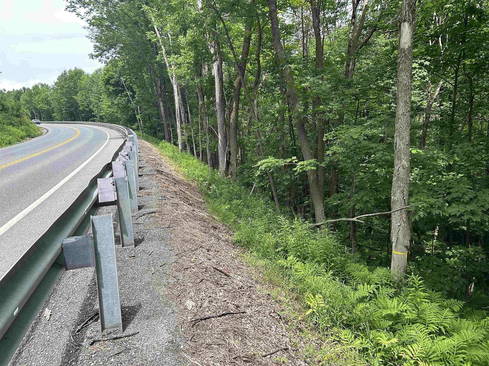 0.99 Acres of Residential Land for Sale in Winhall Town, Vermont