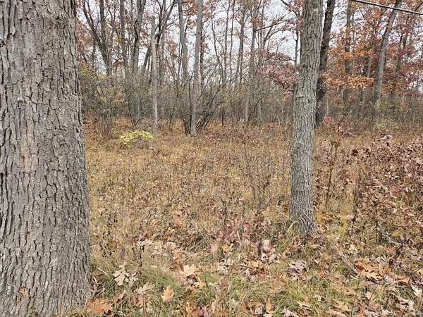 1.37 Acres of Land for Sale in Bitely, Michigan