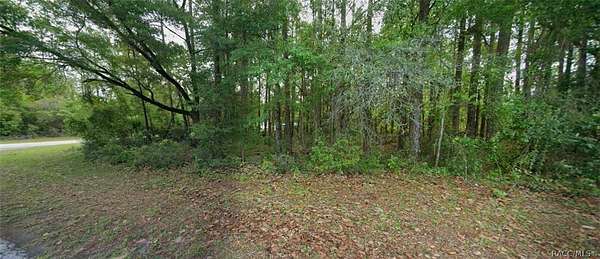 0.28 Acres of Residential Land for Sale in Citrus Springs, Florida