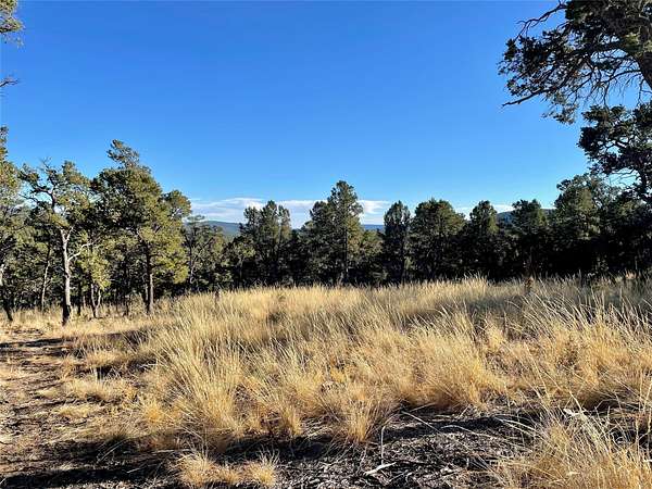1 Acre of Residential Land for Sale in Pecos, New Mexico