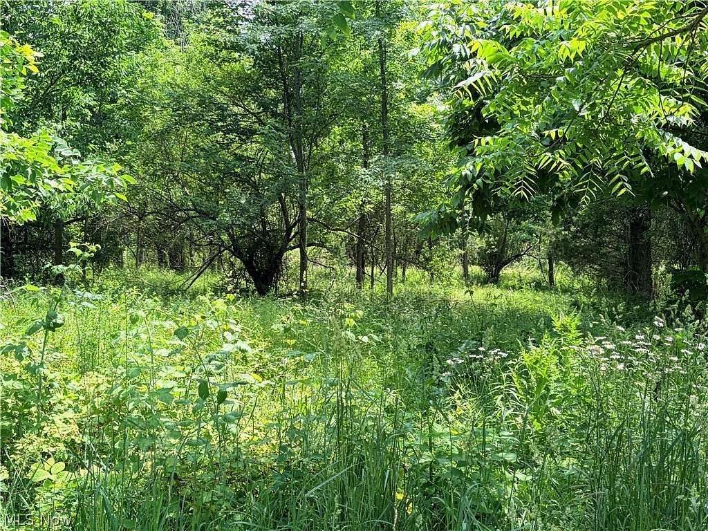 3 Acres of Residential Land for Sale in Shelby, Ohio
