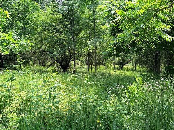 3 Acres of Residential Land for Sale in Shelby, Ohio