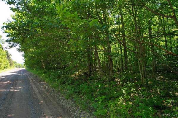 10 Acres of Recreational & Residential Land for Sale in Atlantic Mine, Michigan