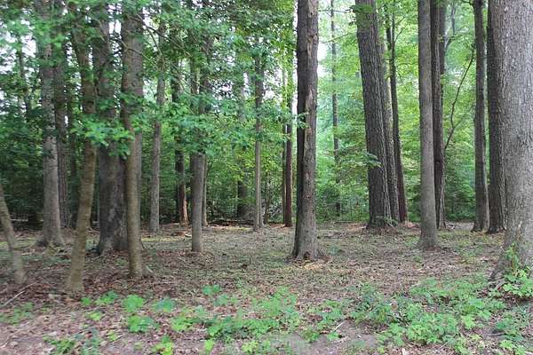 0.22 Acres of Residential Land for Sale in Greenbackville, Virginia