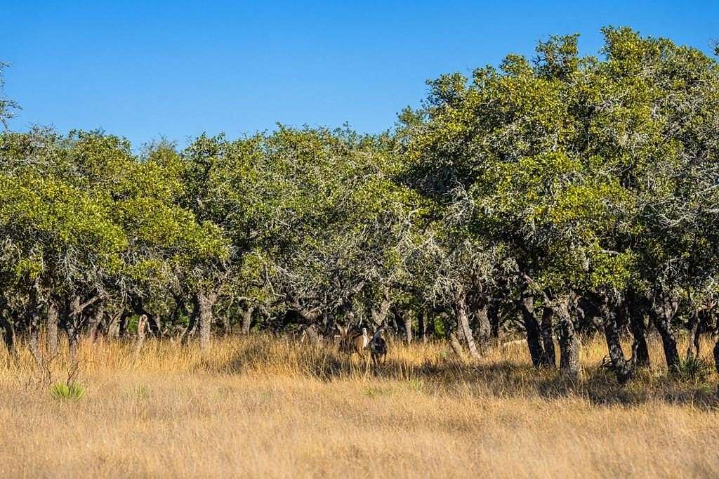 16.2 Acres of Recreational & Residential Land for Sale in Harper, Texas