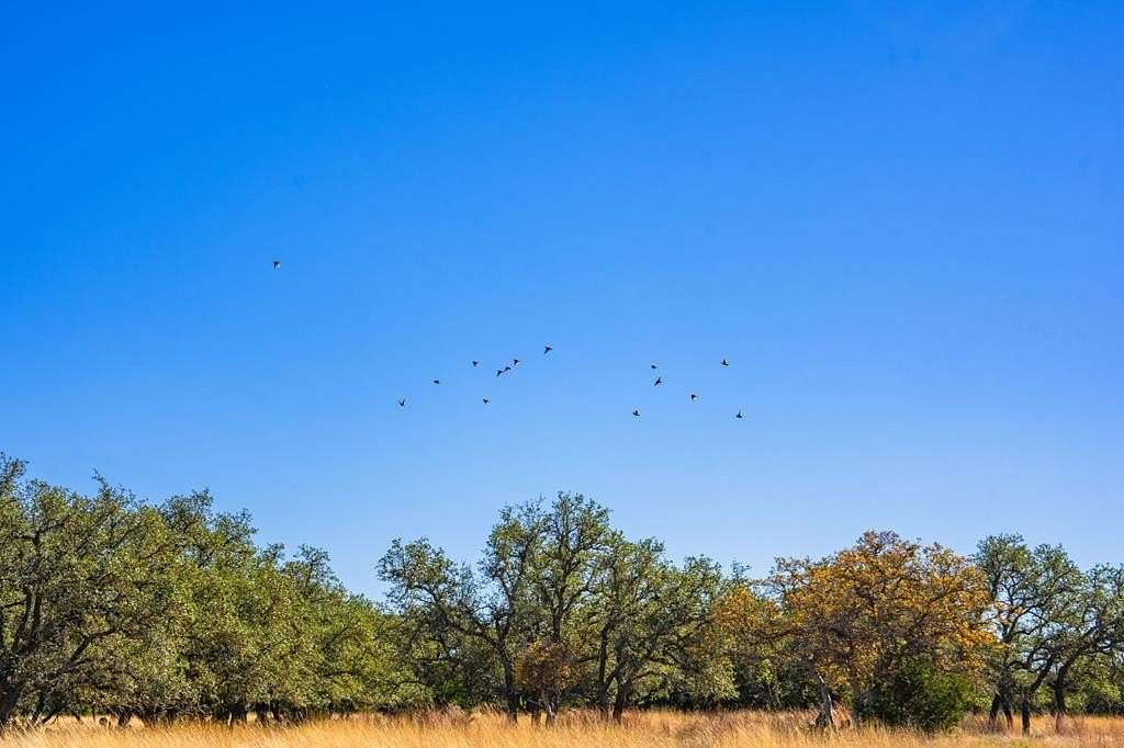 34.7 Acres of Recreational & Residential Land for Sale in Harper, Texas