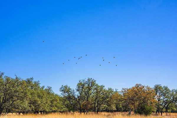 34.7 Acres of Recreational & Residential Land for Sale in Harper, Texas