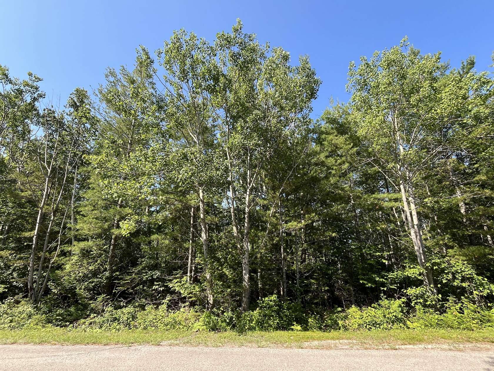 0.41 Acres of Residential Land for Sale in Presque Isle, Michigan