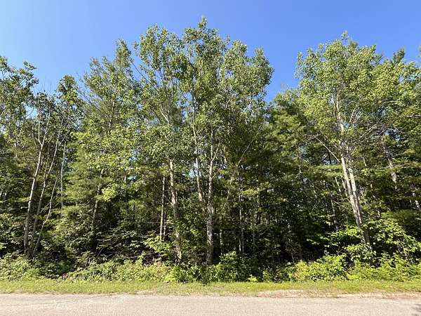 0.41 Acres of Residential Land for Sale in Presque Isle, Michigan