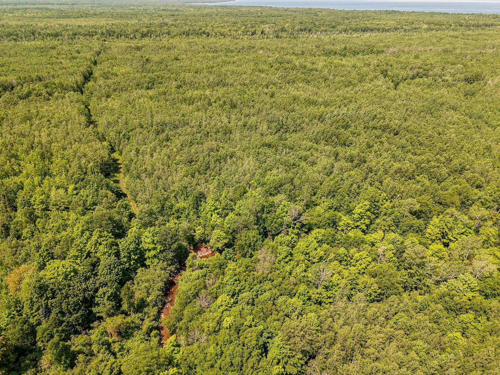 126 Acres of Recreational Land for Sale in Carp Lake Township, Michigan