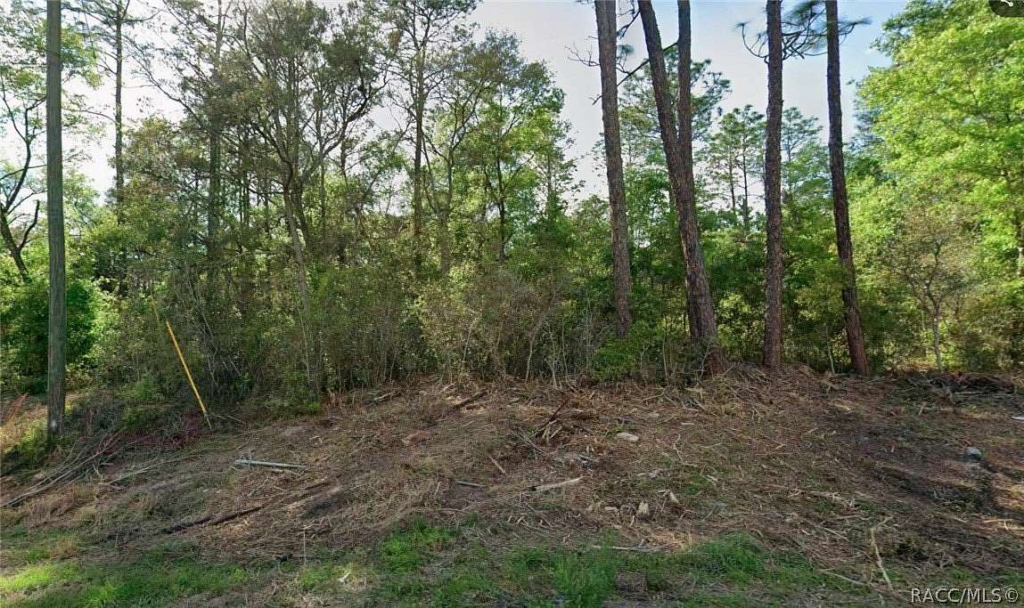 0.29 Acres of Residential Land for Sale in Citrus Springs, Florida