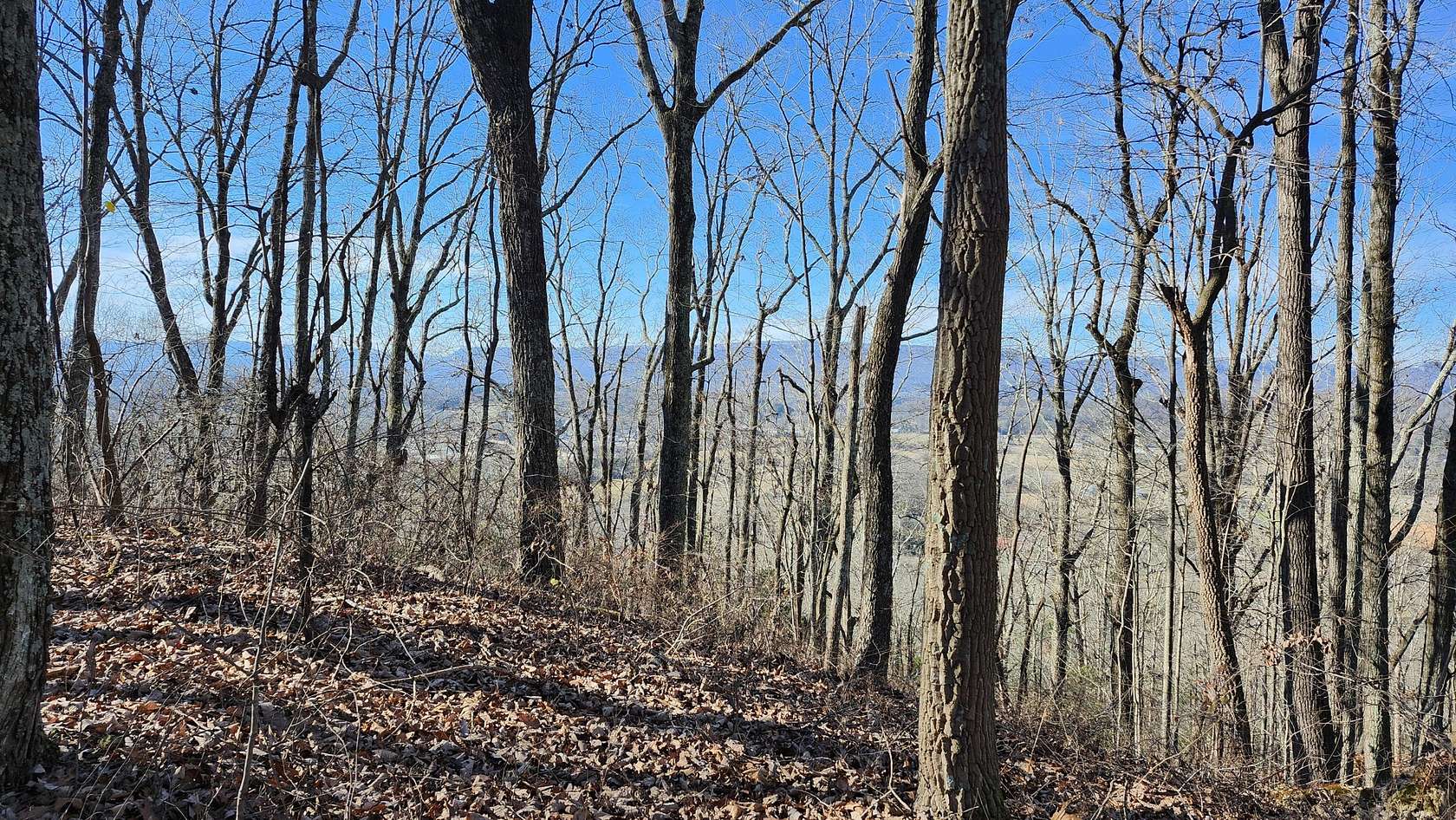 11.5 Acres of Land for Sale in Jasper, Tennessee